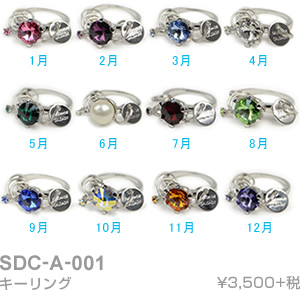 SDC-A-001 キーリング